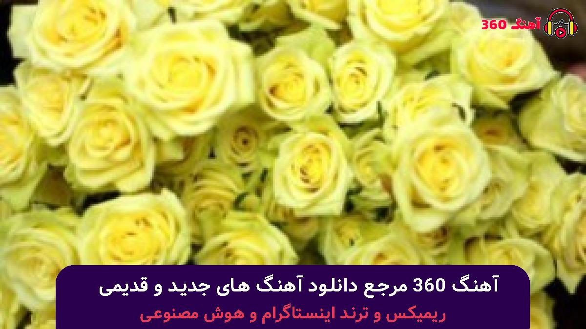 کاور آهنگ اگه یه روزی بری سفر با صدای 